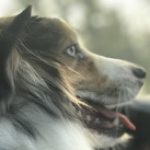 Profile picture of liam9L