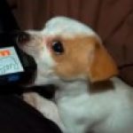 Profile picture of M1ST3RF0X