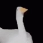 Profile picture of greengamer