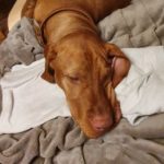 Profile picture of bindertes