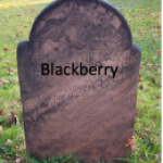 Profile picture of blackberrycustomer