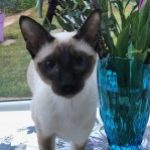 Profile picture of stevenson3529