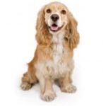 Profile picture of jerry