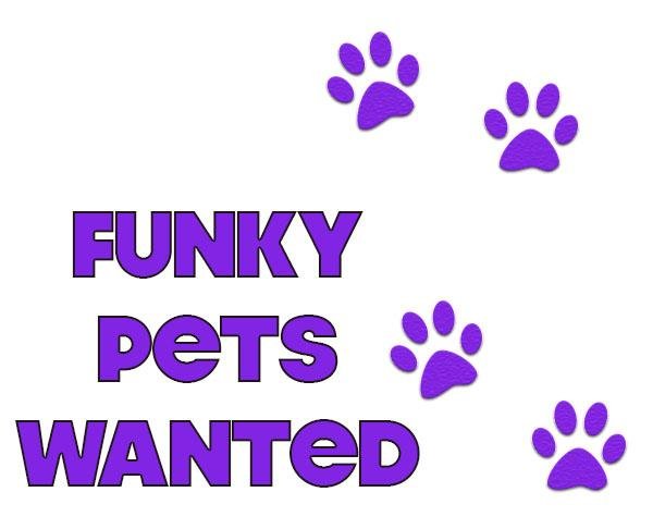 FunkyPetsWanted