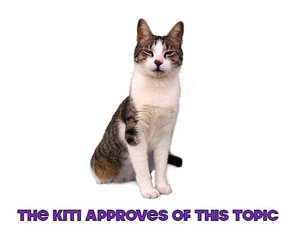 KITIApproves