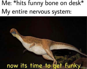 thumb_me-hits-funny-bone-on-desk-my-entire-nervous-system-63206847